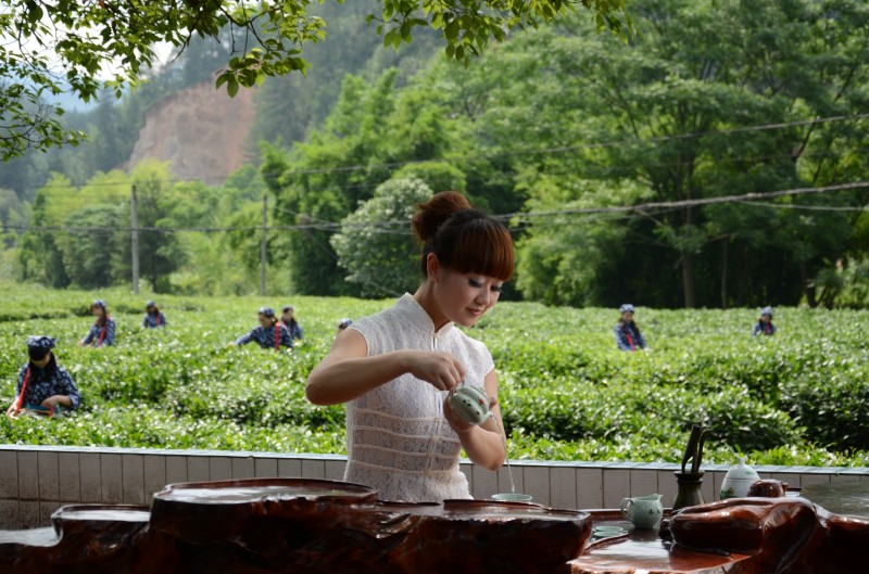 泡茶現(xiàn)場(chǎng)表演